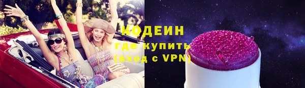 мдпв Бородино