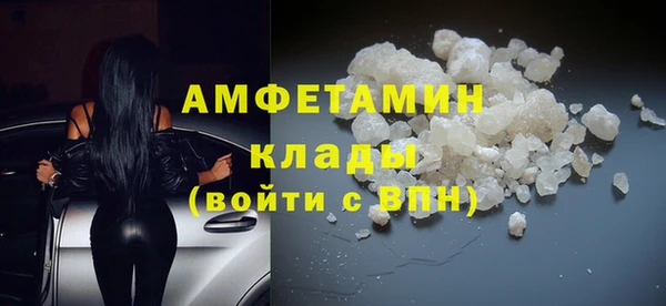 мдпв Бородино