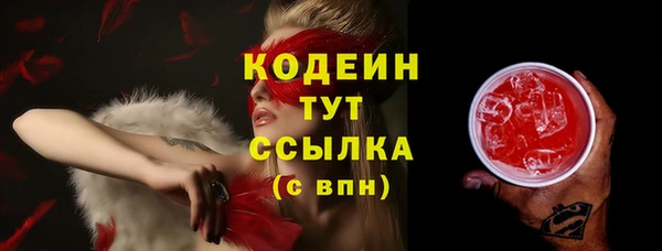 мдпв Бородино