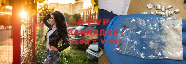 мдпв Бородино