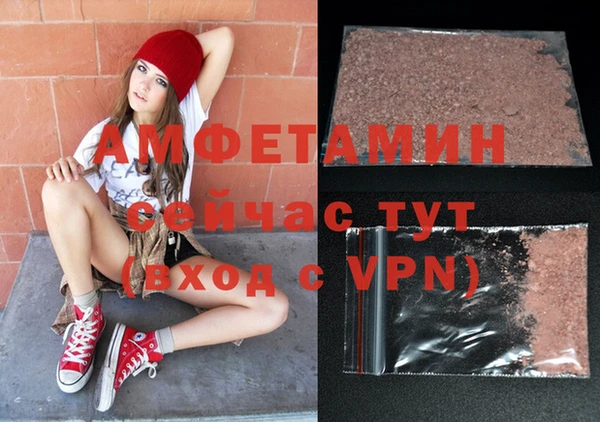 мдпв Бородино